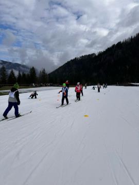 Solar na smuci, marec 2024, foto B J (11)